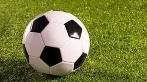 乐竞体育 产品 124325 n0r