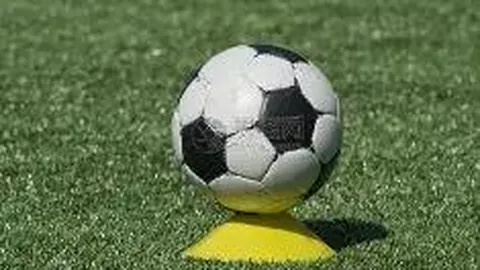 乐竞体育 资讯 124742 mqd