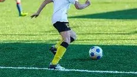 中国家具行业联合会（CNFA）